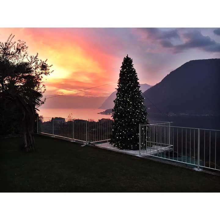 Farm stay Le Fontane